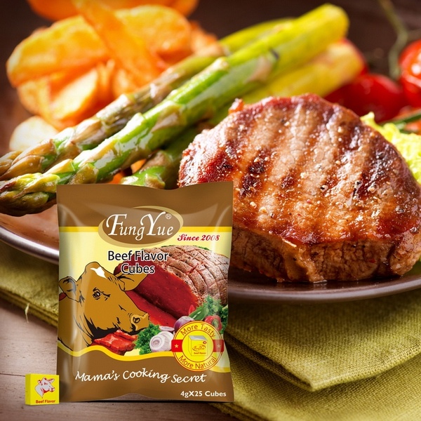 FungYue Beef Flavor Seasoning Bouillon Cubes 100g Seasoning Factory